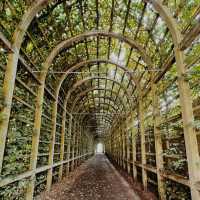 Hampton Court Palace, London 