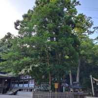 【大神神社】奈良県桜井市 パワースポット