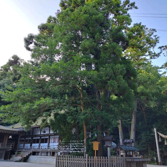 【大神神社】奈良県桜井市 パワースポット 【大神神社】奈良県桜井市 パワースポット
