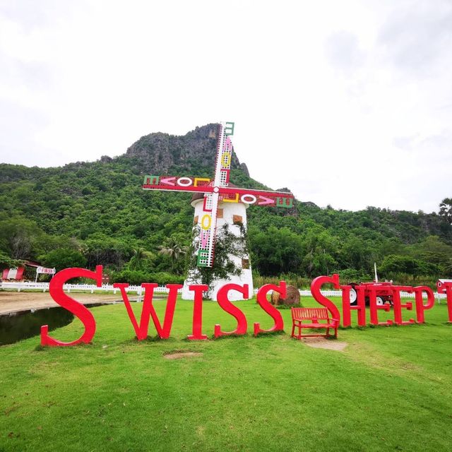 Swiss Sheep Farm ฟาร์มแกะน่ารักสไตล์สวิสเซอร์แลนด์