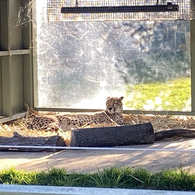 Zoo All day, Every day! 