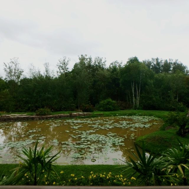 เพื่อนใหม่ที่กระบี่ 😁