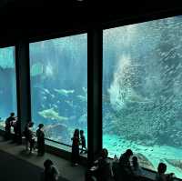 【福岡】マリンワールド海の中道