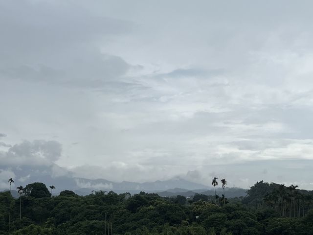 🏞️ 仁義潭水庫：大自然的靈魂，等你來探索！🌊🌟