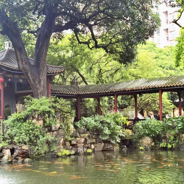 靜謐寫意～清暉園