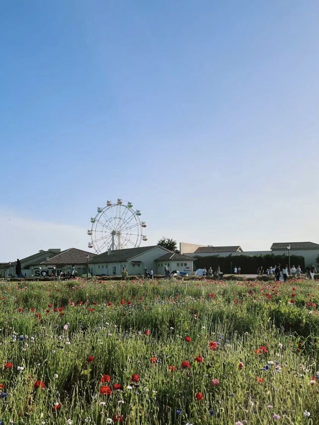 河畔的天堂！多摩川河川健康公園的清涼冒險！🌊🌳🌼