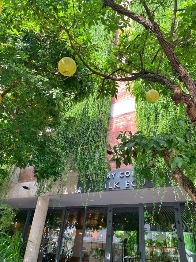 😋Our beautiful hotel in Hoi An💚