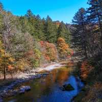 Beautiful autumn view of Odaesan NationalPark