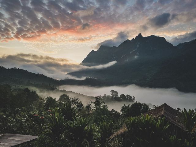 นอนดูหมอกดอยหลวงเชียงดาว 3 วัน 2 คืน ⛰️✨