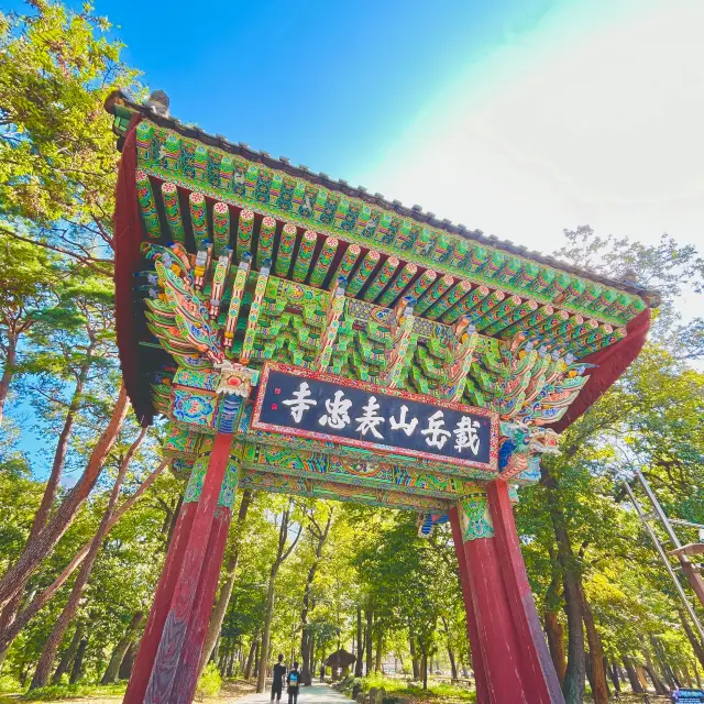 국내가을단풍여행 밀양표충사 🍁 🍂 🌾 