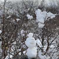 제주도 한라산 백록담 눈쌓인 설산 보고왔어요