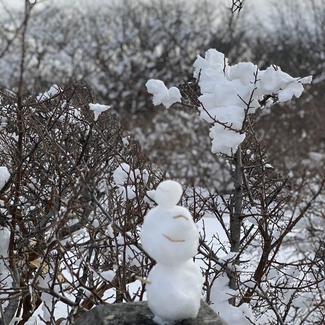제주도 한라산 백록담 눈쌓인 설산 보고왔어요