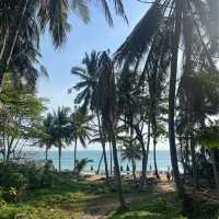 Chaweng Noi Beach🇹🇭 get up for the sunrise 