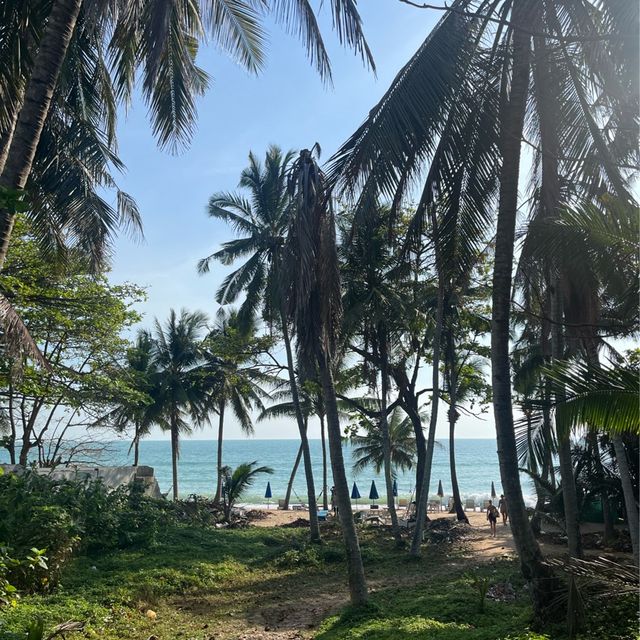 Chaweng Noi Beach🇹🇭 get up for the sunrise 