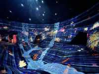 TeamLab SuperNature Digital Art @Macao