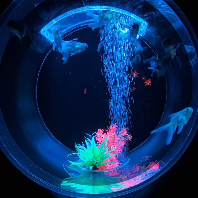 百華繚乱
