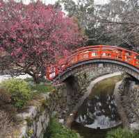 【世界遺産✨下鴨神社】