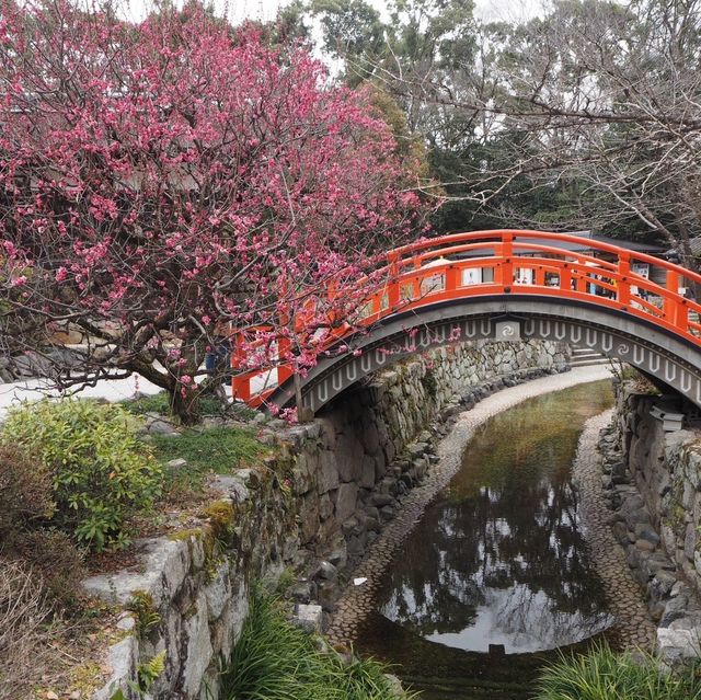 【世界遺産✨下鴨神社】