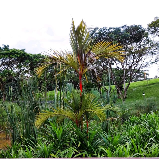 Admiralty Park: A Serene Oasis in Singapore 