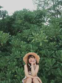 ชุมพร 🌱🍃