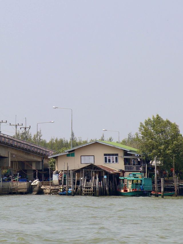 เส้นทางเลียบเลาะชายฝั่ง ปากแม่น้ำบางตะบูน เพชรบุรี