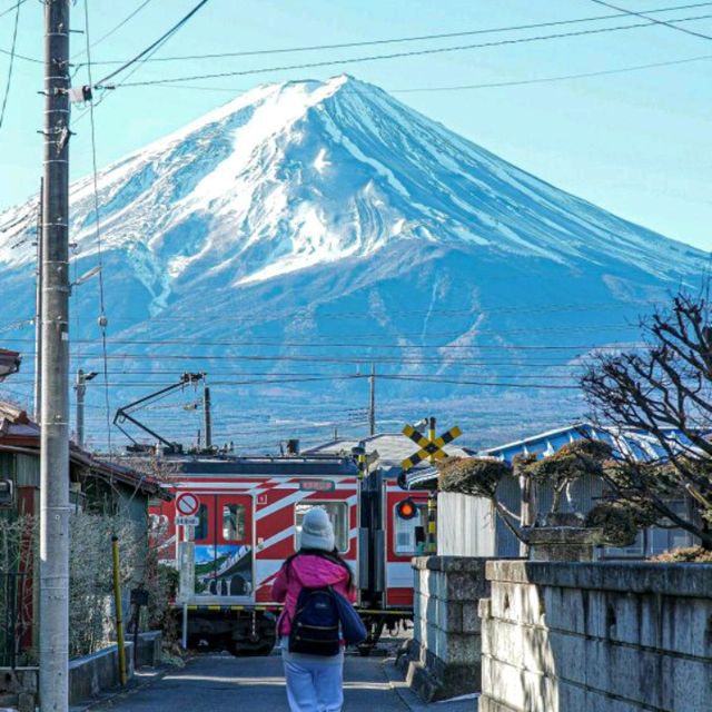 Japan Trip Jan 23 คิวชู โตเกียว