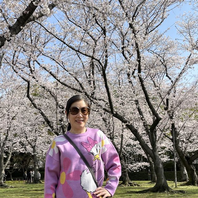 世界文化遺產 日本最美的三大庭園