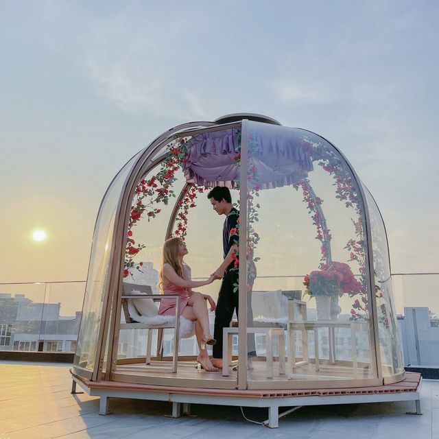 หนีแมวไป  Amethyst Hotel Pattaya 💜