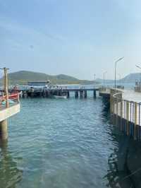 แสมสารมารีน่า 🌊