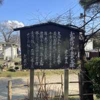 【岩手県/中尊寺,金色堂】世界遺産