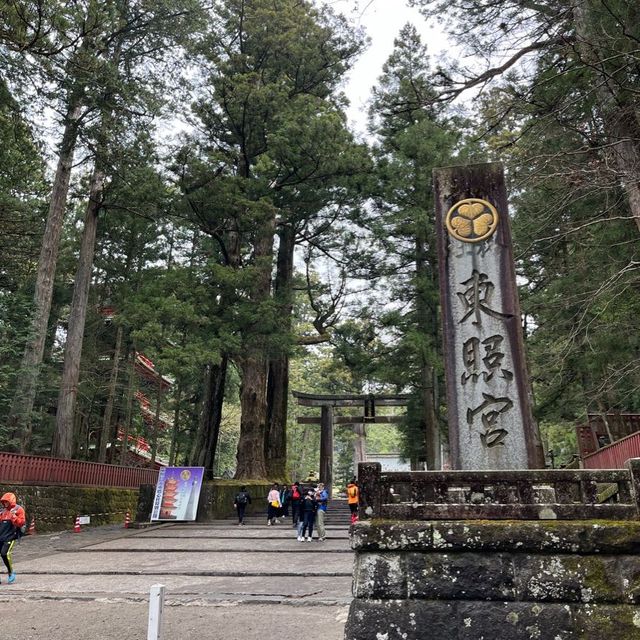 見どころたくさん！日光東照宮