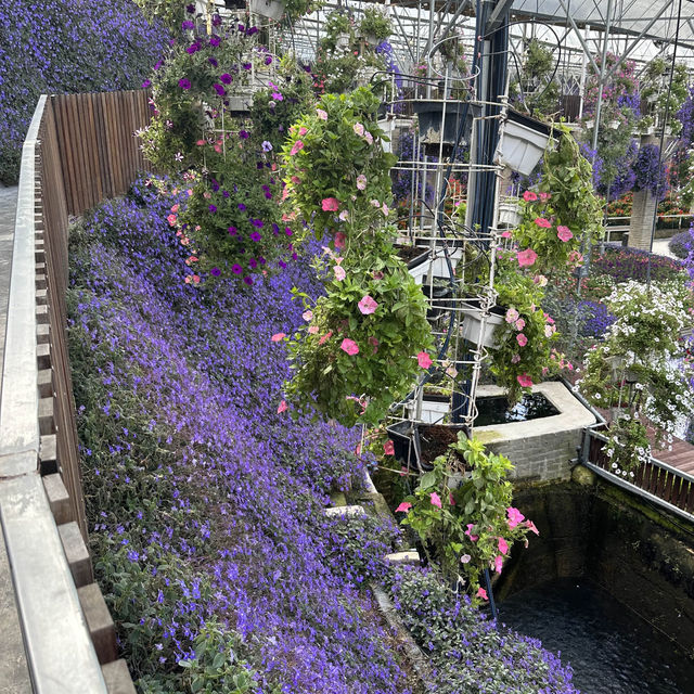 Fairytale garden in Cameron highland 