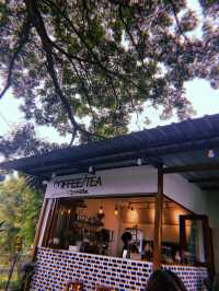 Teach Cafe 🥤🧋🧁