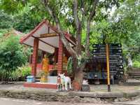 สวนพุทธรรมล้อมด้วยธรรมชาติ ‘วัดอุโมงค์’