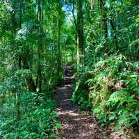 Kinabalu Park trails for the explorer!