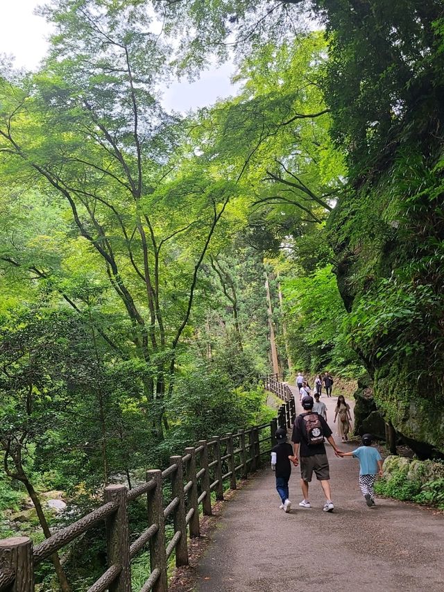 【大阪】滝道を散策をしよう
