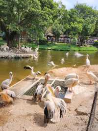 深圳野生動物園：瞬間拉近野生世界與人的距離