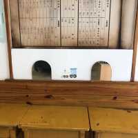 來臺南後壁區「烏樹林」，體驗世界上最慢的火車