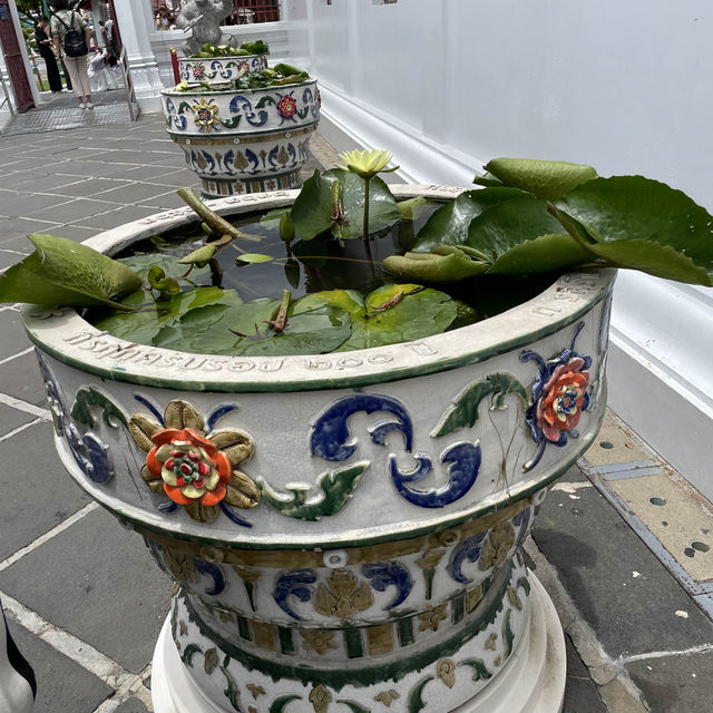 🪷wat arun🪷