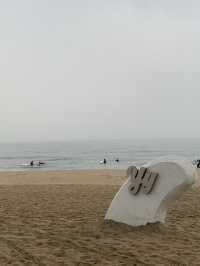 양양 양양하면 바로 가장 핫한 서피비치🌊🏄‍♀️ [양양_서피비치]