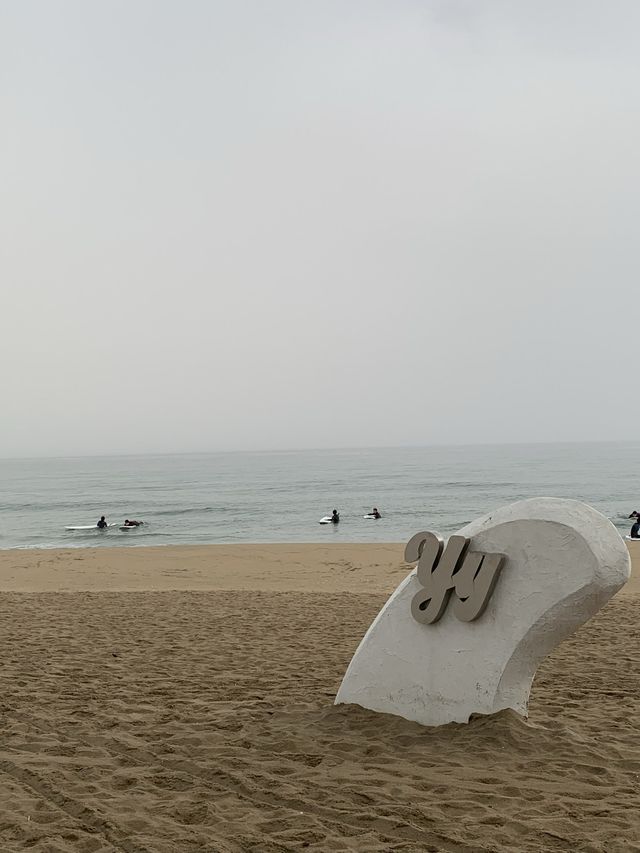 양양 양양하면 바로 가장 핫한 서피비치🌊🏄‍♀️ [양양_서피비치]