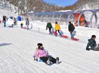 Must Visit !!! GALA YUZAWA SNOW RESORT 