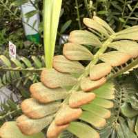 台北圓山站休閑一日遊🌿🌵適合夏日親子遊