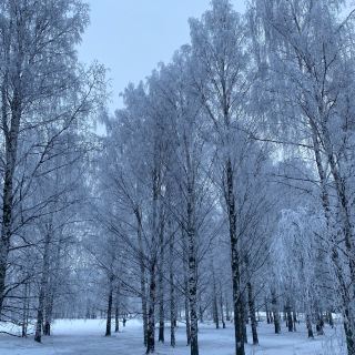 A trip to Finland just to see the Northern Lights :-)