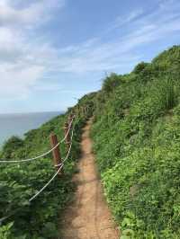 초록과 에메랄드가 공존하는 서우봉!🩵💚
