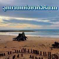 เดินเล่นริมหาด ที่อุทยานแห่งชาติสิรินาถ