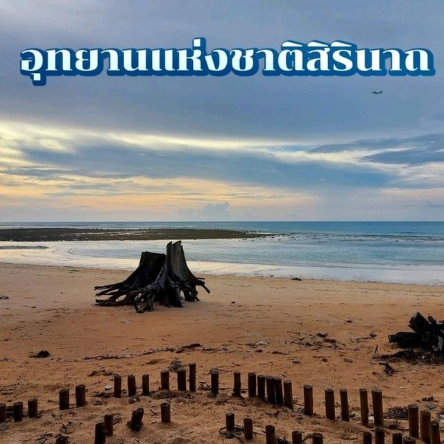 เดินเล่นริมหาด ที่อุทยานแห่งชาติสิรินาถ