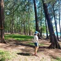 หาดในหาน หาดสวรรค์ของนักท่องเที่ยว