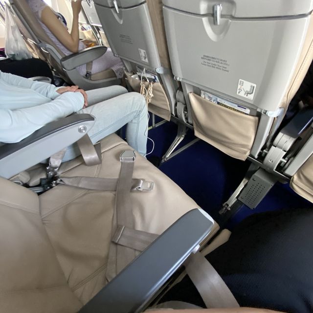 スカイマーク搭乗記【神戸→羽田】