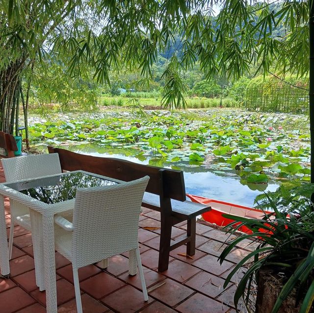 Le St Trop Bar & Restaurant Khok Kloi